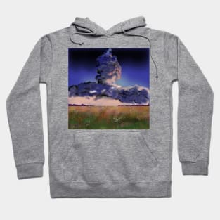 A field of flowers in the middle of rain clouds Hoodie